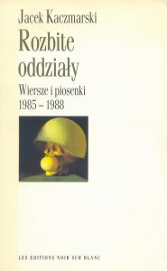 Okładka <i>Rozbitych oddziałów</i>