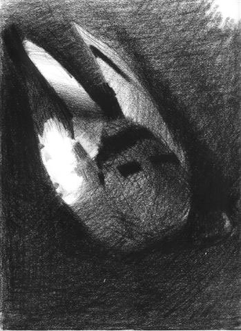 Obraz Zabity gołąb